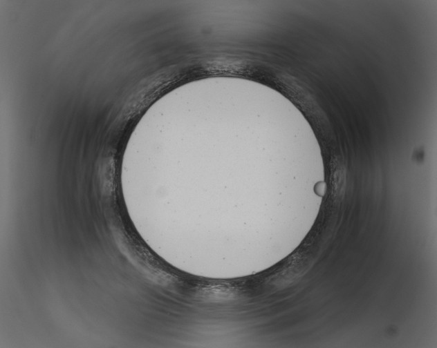 X0000115680498200912241443