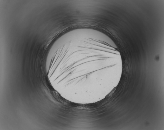 X0000115680500200912241443