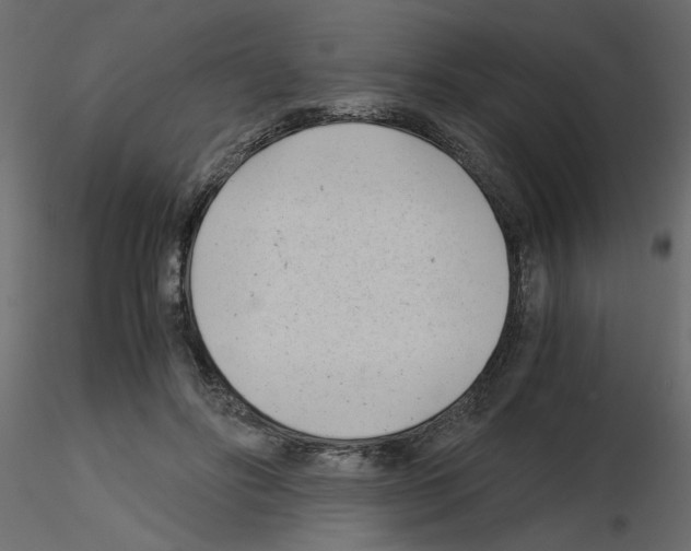 X0000115680502200912241443