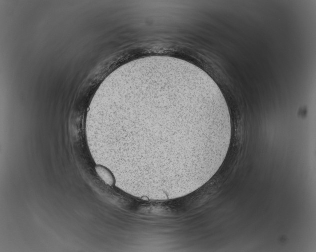 X0000115680503200912241443