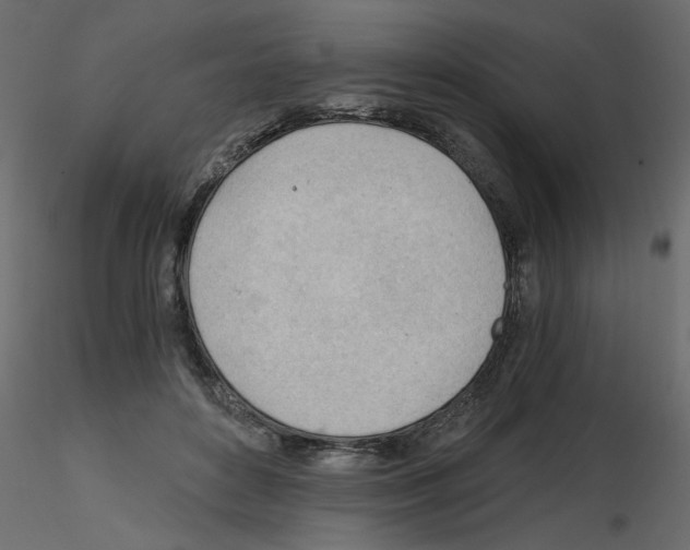 X0000115680504200912241443