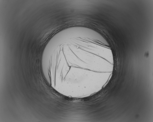 X0000115680505200912241443
