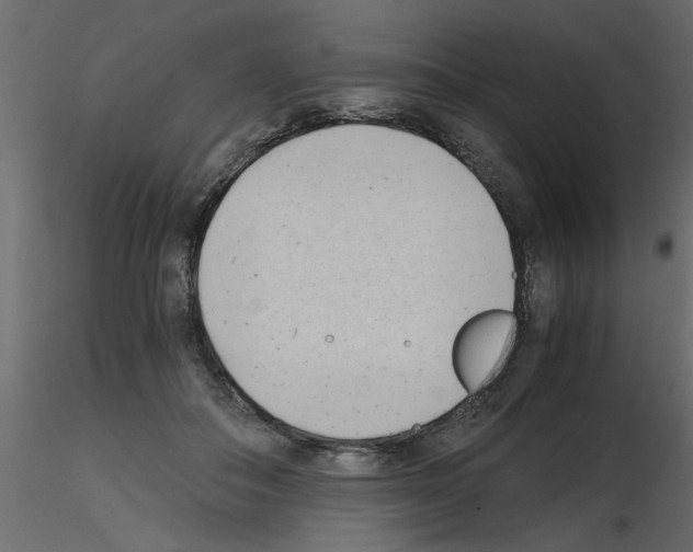 X0000115680506200912241443