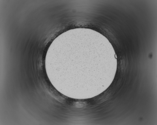 X0000115680508200912241443