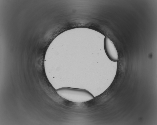 X0000115680509200912241443