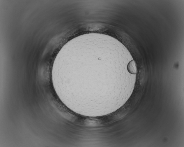 X0000115680510200912241443