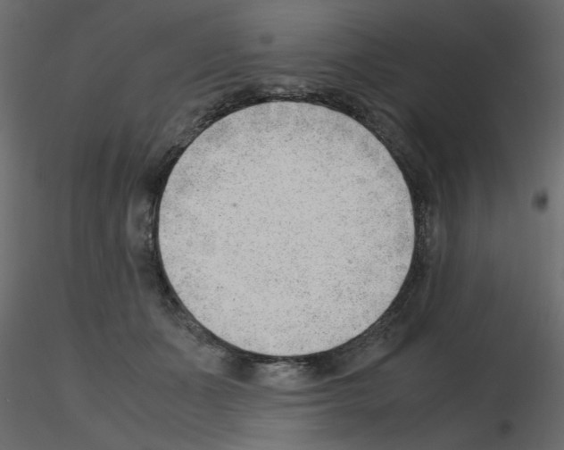 X0000115680511200912241443