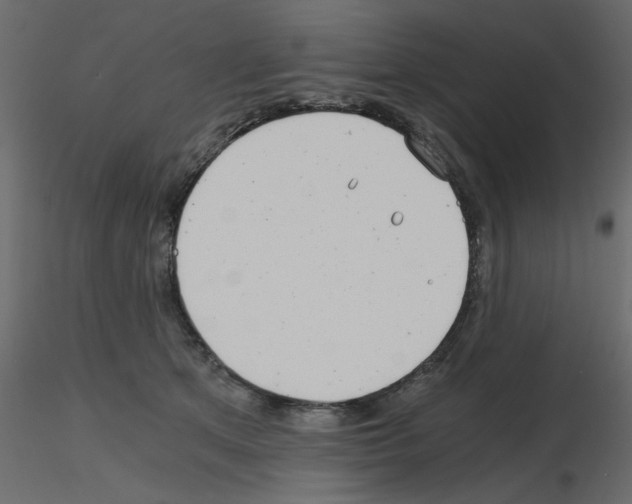 X0000115680513200912241443