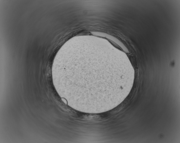 X0000115680517200912241443