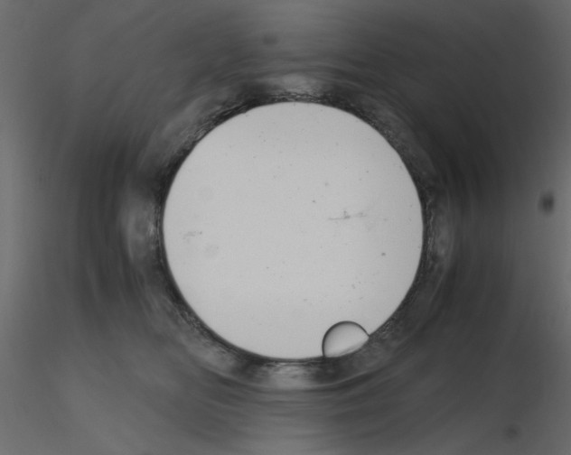 X0000115680518200912241443