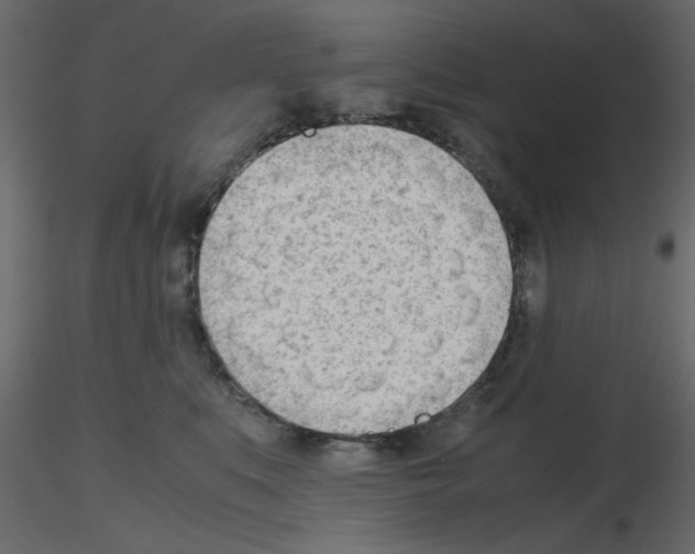 X0000115680519200912241443