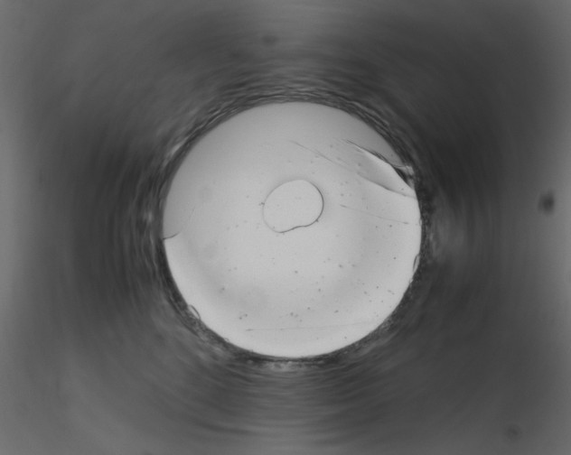 X0000115680520200912241443