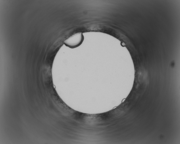 X0000115680521200912241443