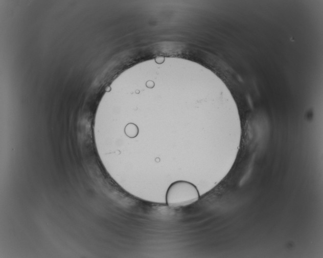 X0000115680522200912241443