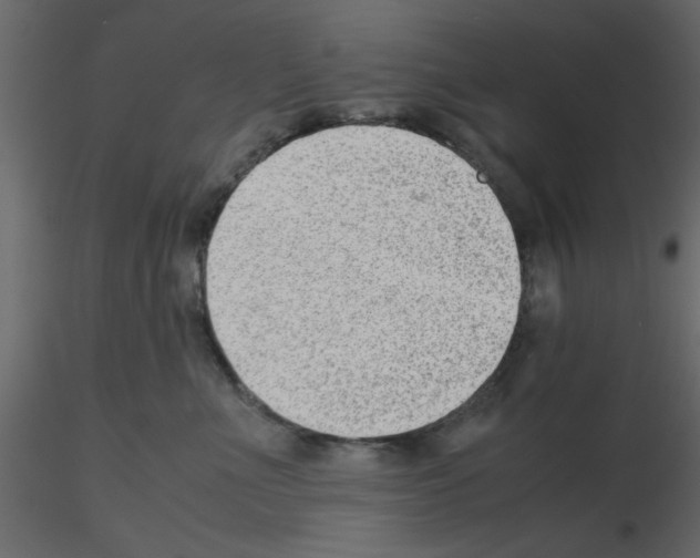 X0000115680523200912241443