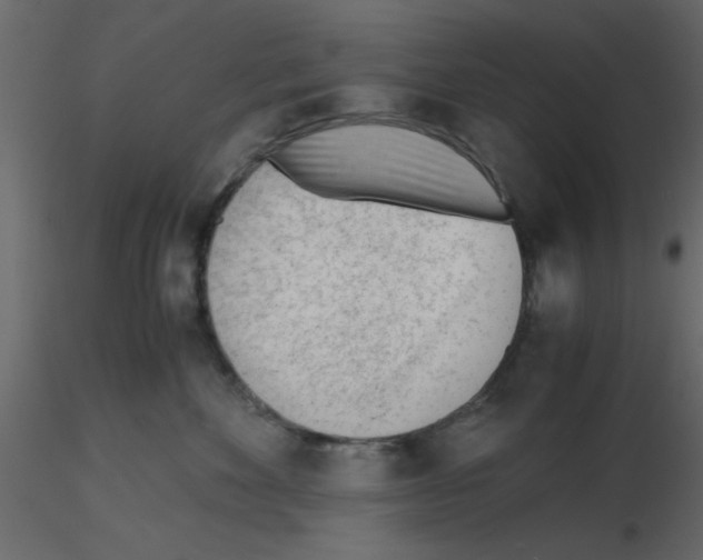 X0000115680524200912241443