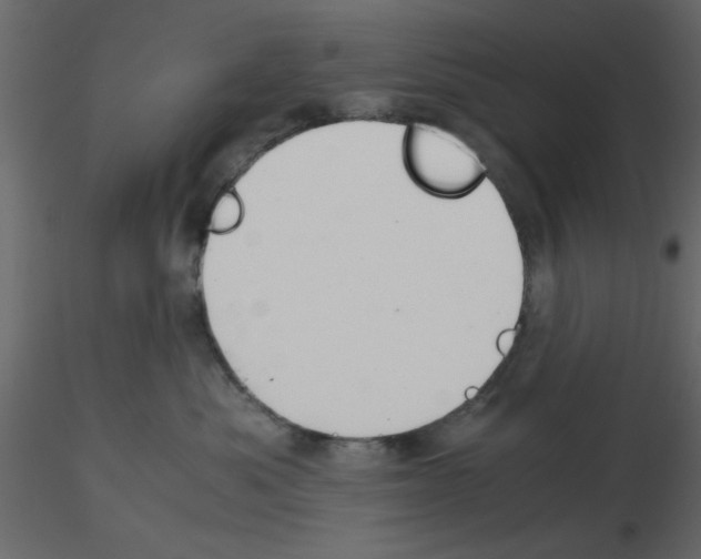 X0000115680525200912241443