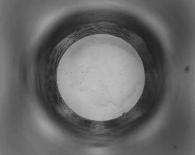 X0000115680526200912241443