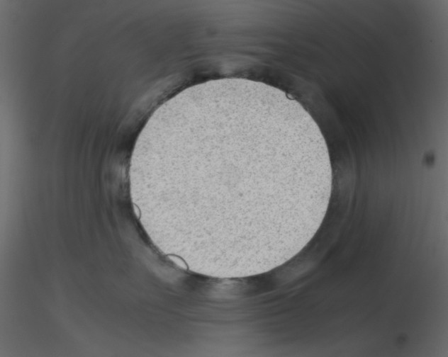 X0000115680527200912241443