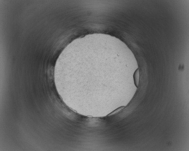 X0000115680528200912241443