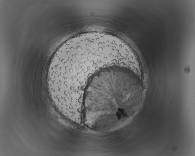 X0000115680529200912241442