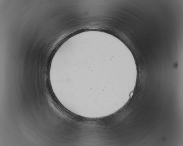 X0000115680530200912241442