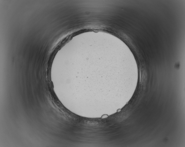 X0000115680531200912241442