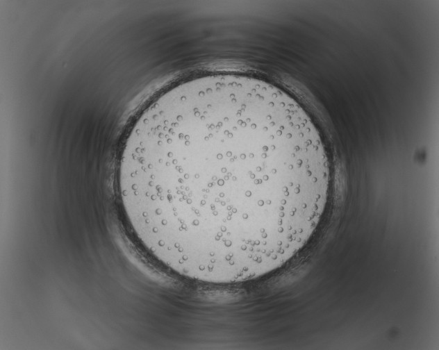 X0000115680533200912241442
