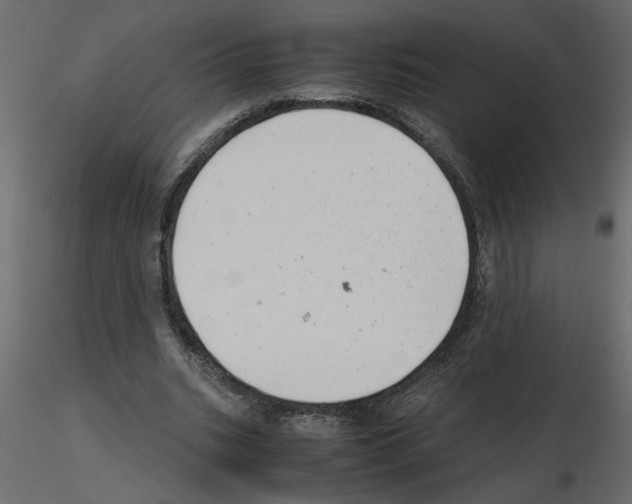 X0000115680535200912241442