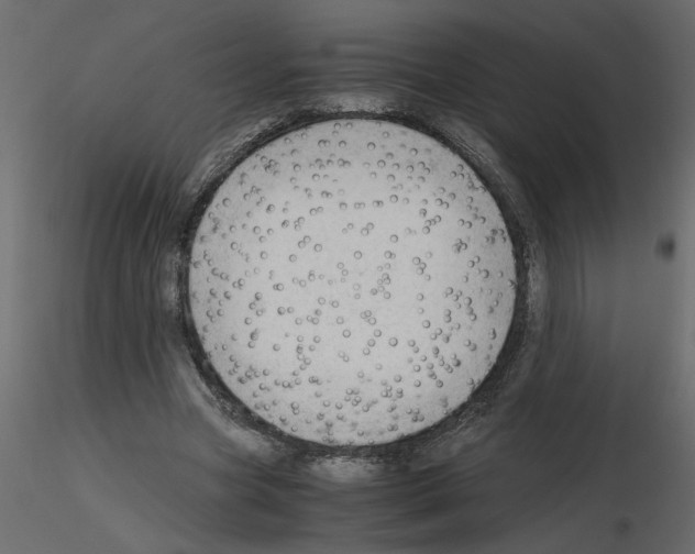 X0000115680537200912241442