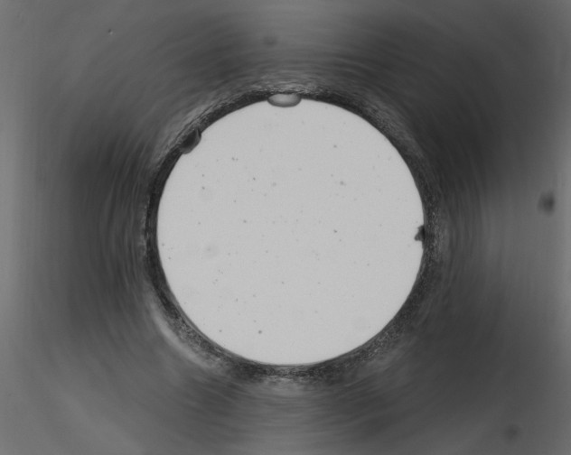 X0000115680538200912241442