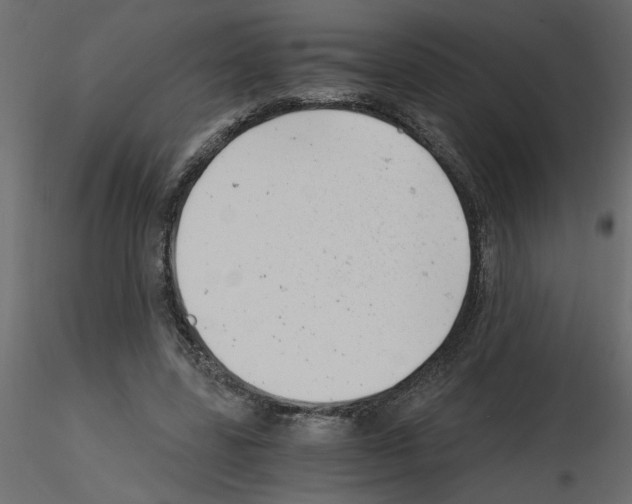 X0000115680539200912241442