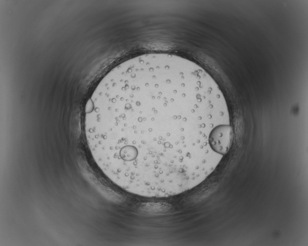 X0000115680541200912241443
