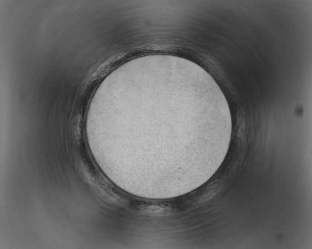 X0000115680542200912241443