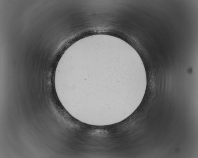 X0000115680543200912241443
