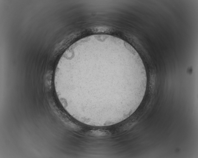 X0000115680545200912241443