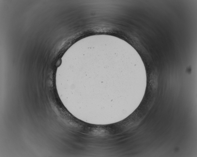 X0000115680547200912241443