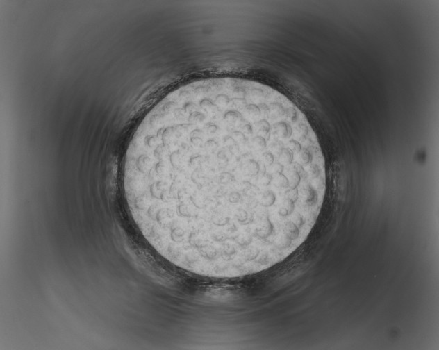 X0000115680550200912241443