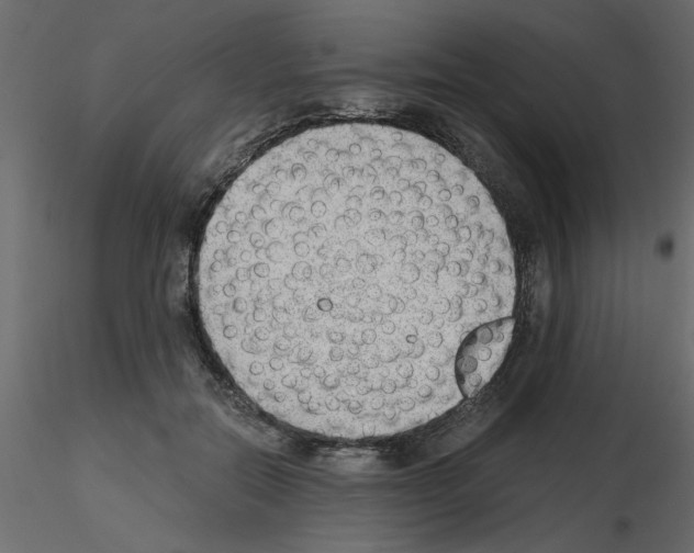 X0000115680554200912241443