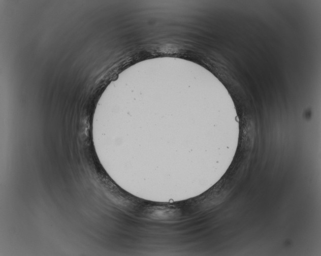 X0000115680555200912241443