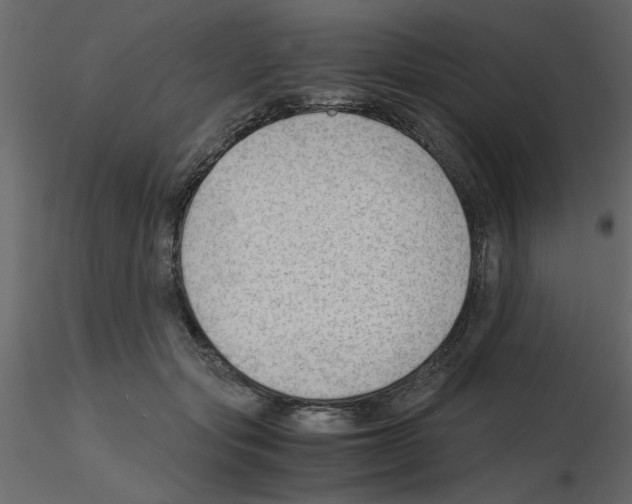 X0000115680557200912241443