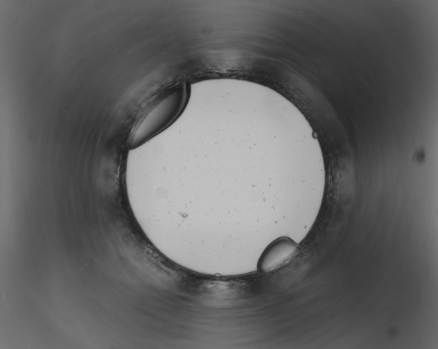 X0000115680558200912241443