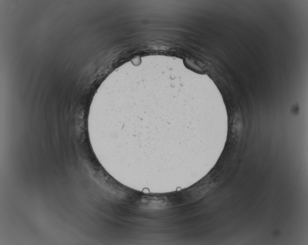 X0000115680559200912241443