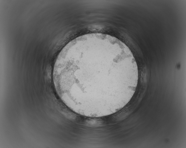X0000115680561200912241443