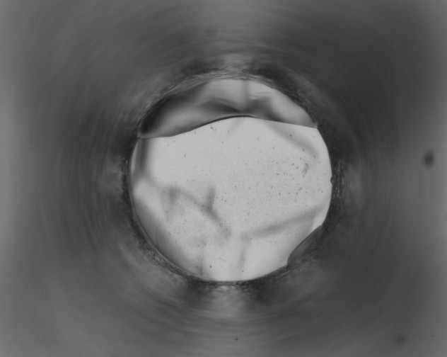 X0000115680562200912241443