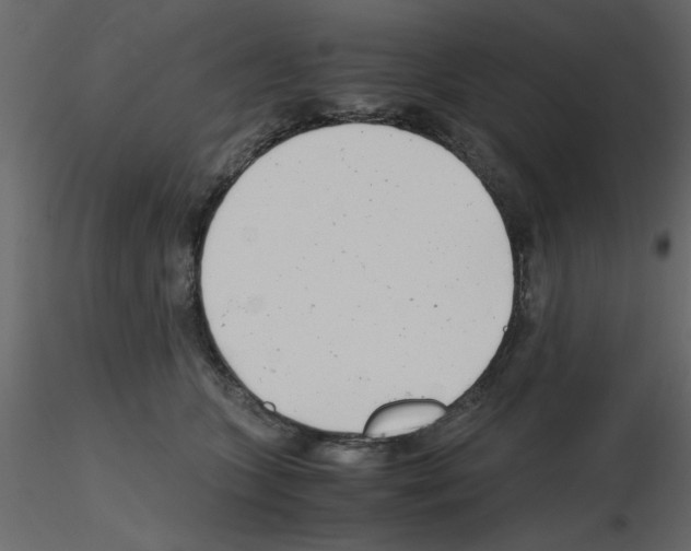 X0000115680563200912241443