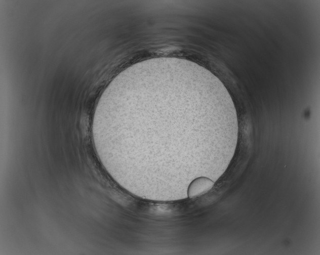 X0000115680565200912241443
