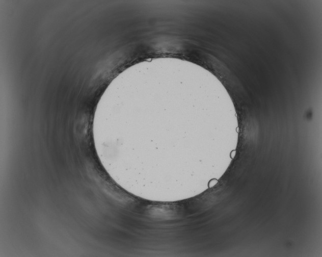 X0000115680567200912241443