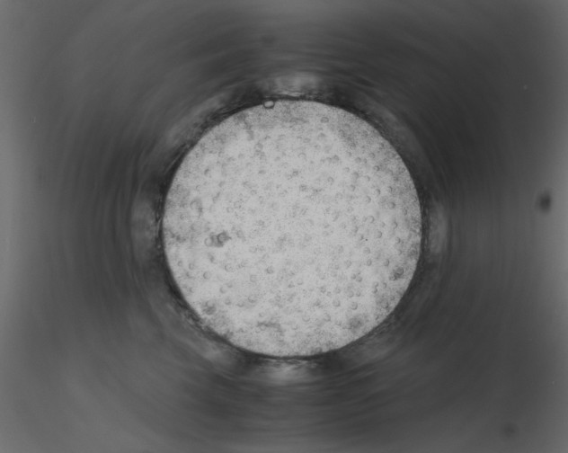 X0000115680569200912241443