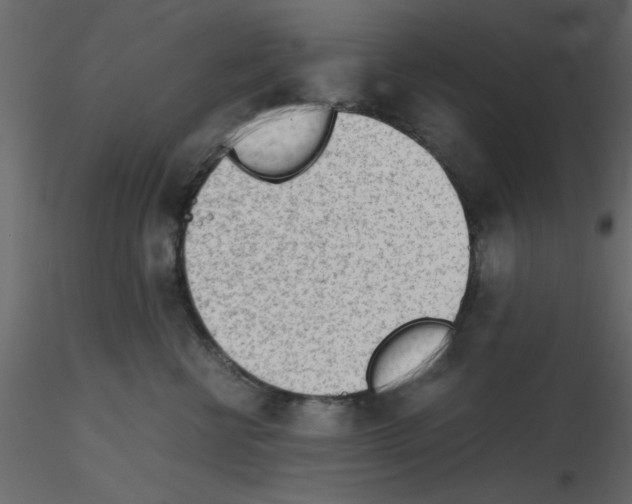 X0000115680570200912241443